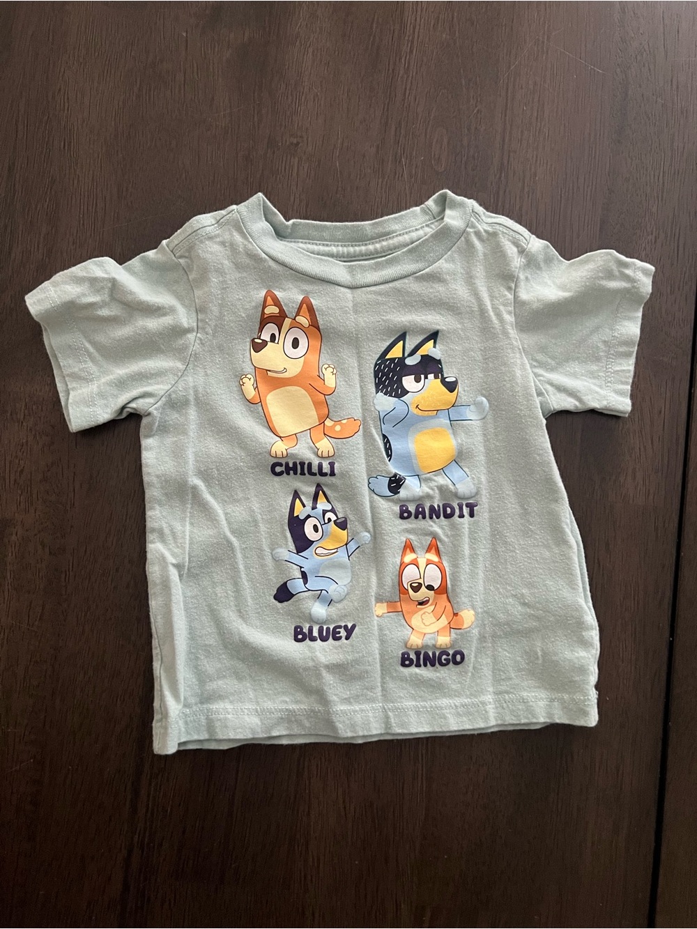 Target Light Blue Bluey Family Character Tee